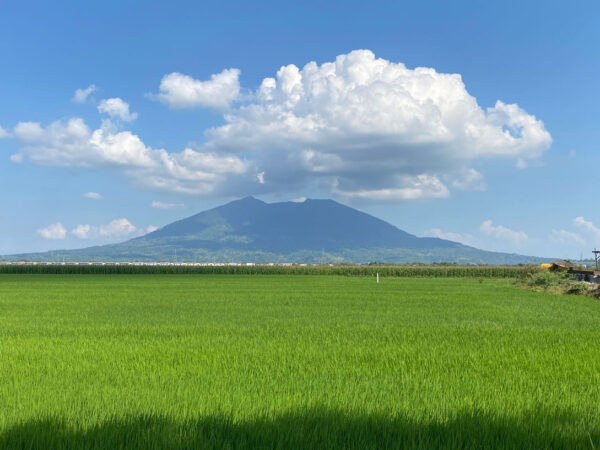Mount Arayat View