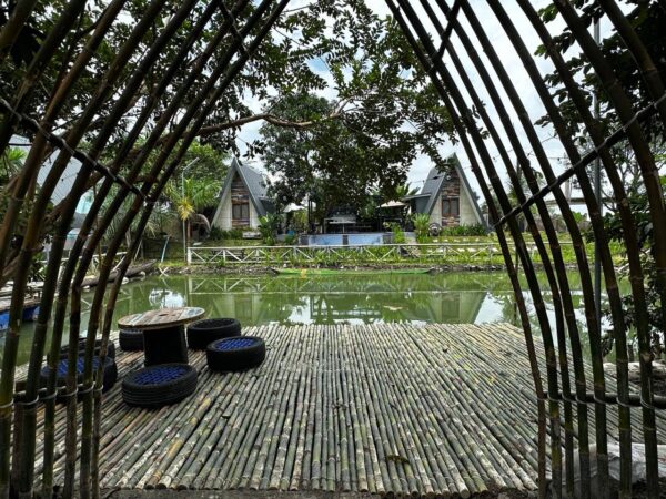 Pond & Cabins